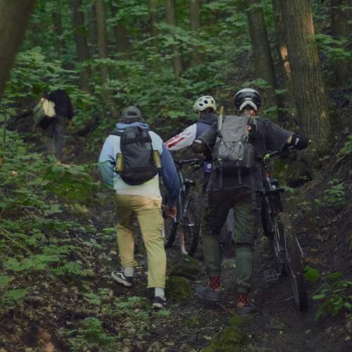 Photo #13646634