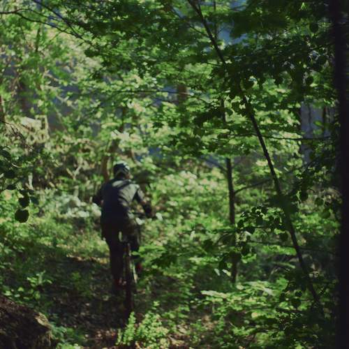 Photo #13646648