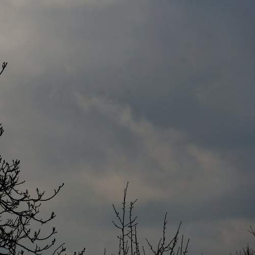 Photo #13646662
