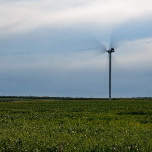 Photo #13646674