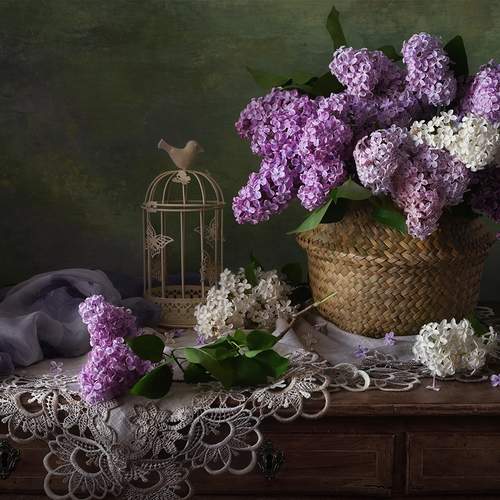 Photo #13646737