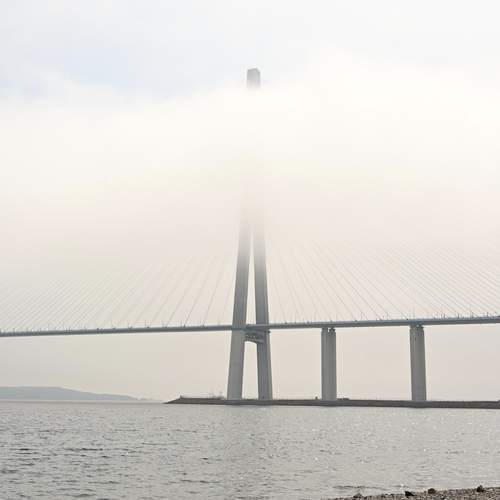 Photo #13646741