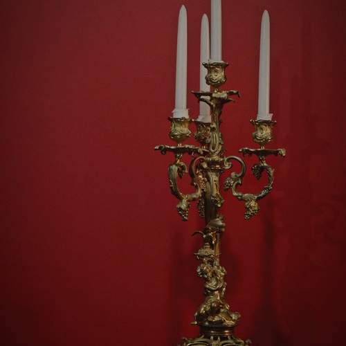 Photo #13646751