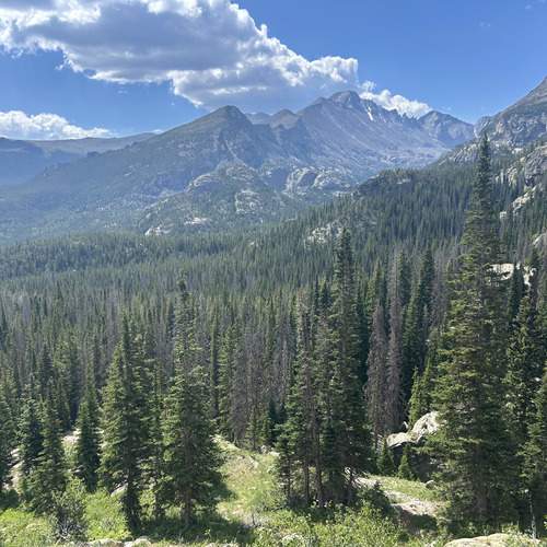Photo #13646772