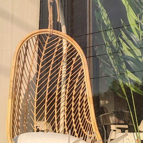 Photo #13646842