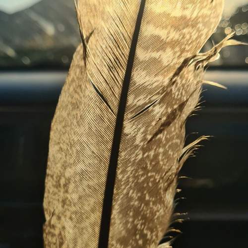 Photo #13646906