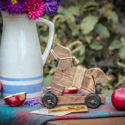Photo #13647014
