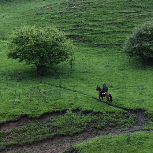 Photo #13647072