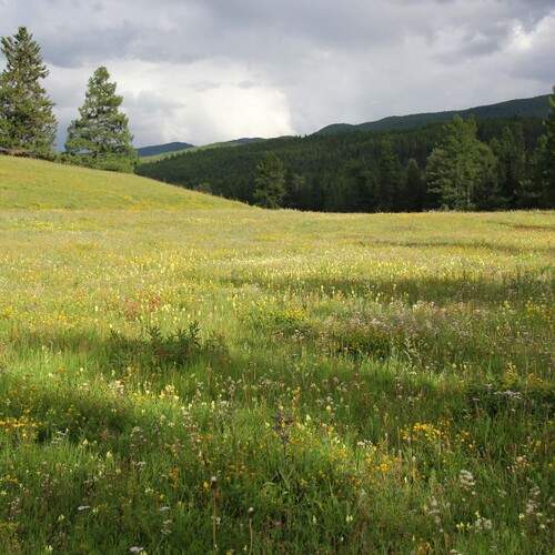 Photo #13647079