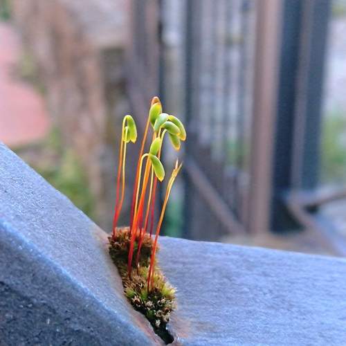 Photo #13647127