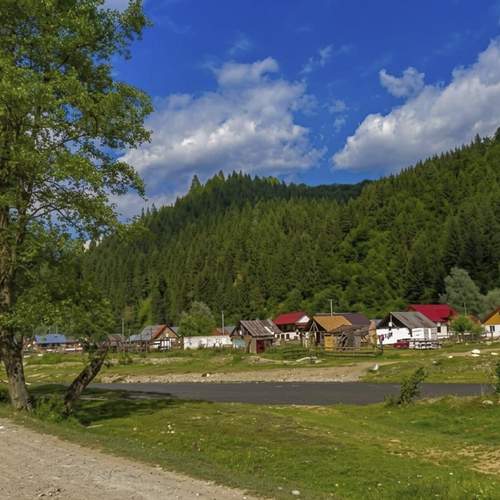 Photo #13647195
