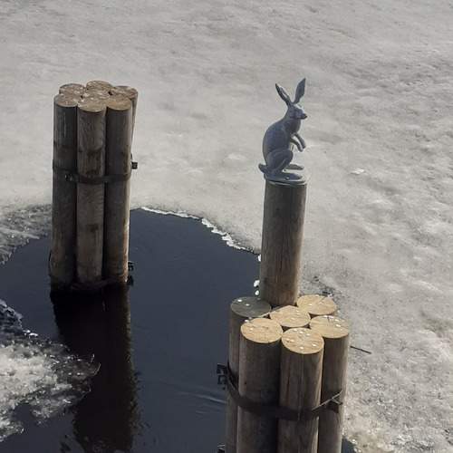 Photo #13647293