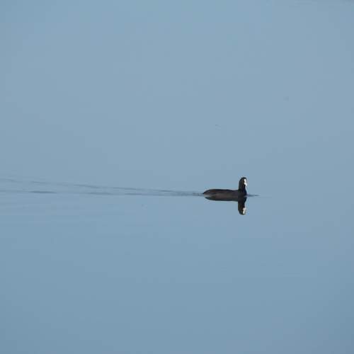 Photo #13647317