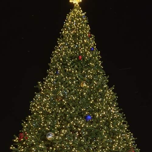 Photo #13647364