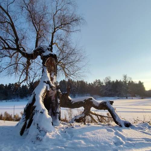 Photo #13647373