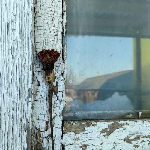 Photo #13647424