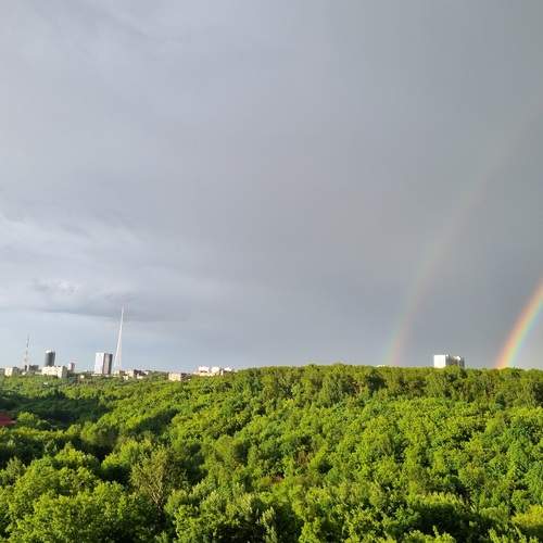 Photo #13647457