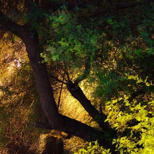 Photo #13647472