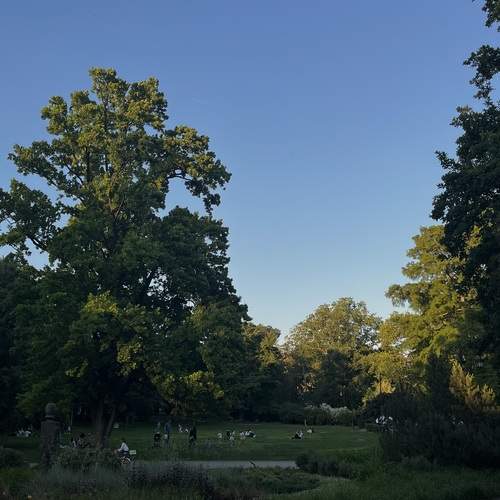 Photo #13647495