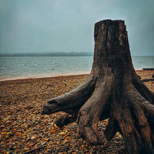Photo #13647506