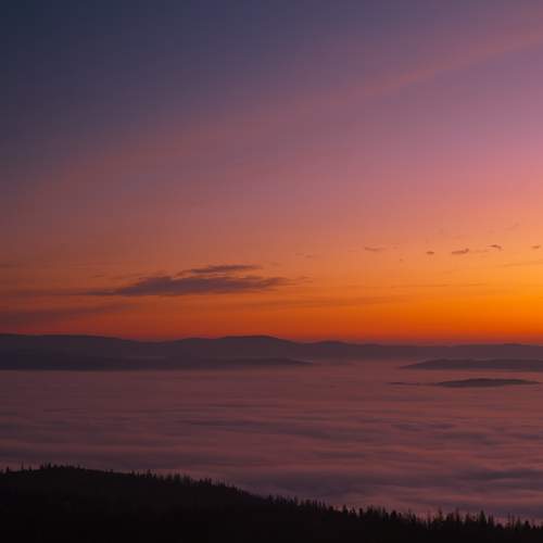 Photo #13647539