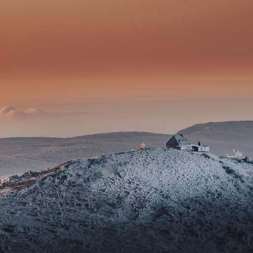 Photo #13647540