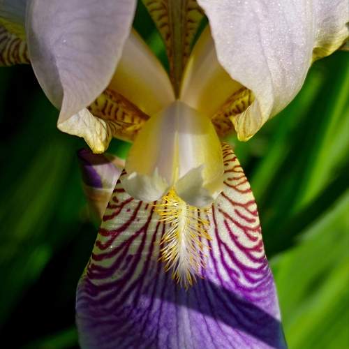 Photo #13647584