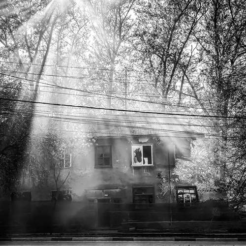 Photo #13647603