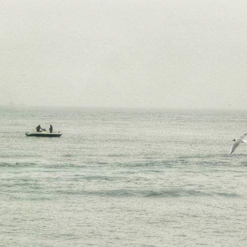 Photo #13647626