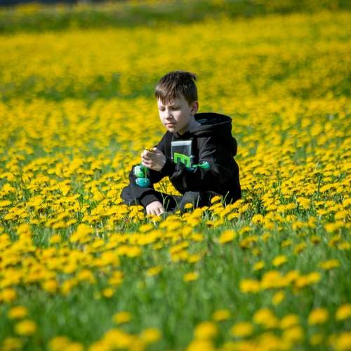 Photo #13647658