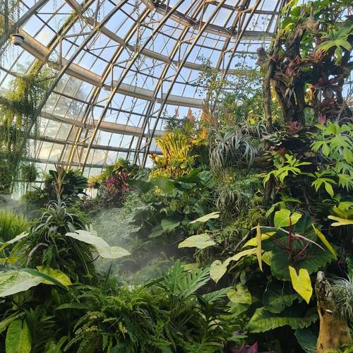 Photo #13647662