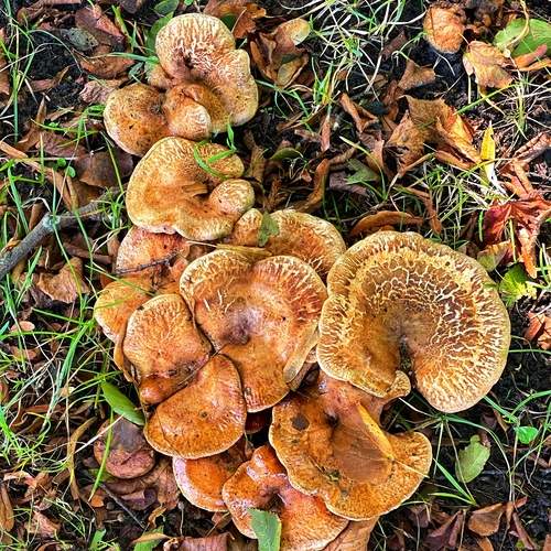 Photo #13647816