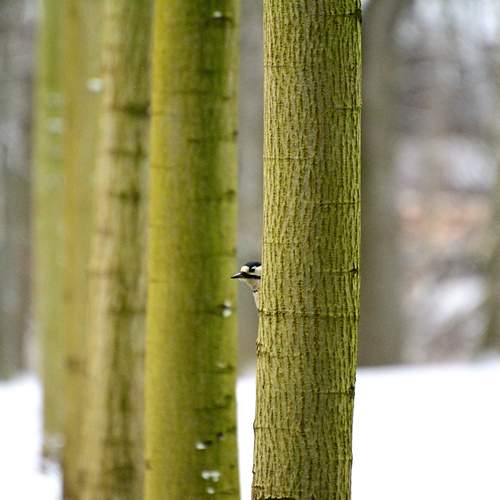 Photo #13647895