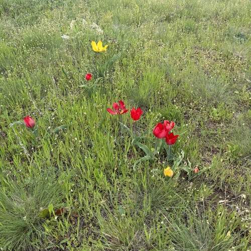 Photo #13647921
