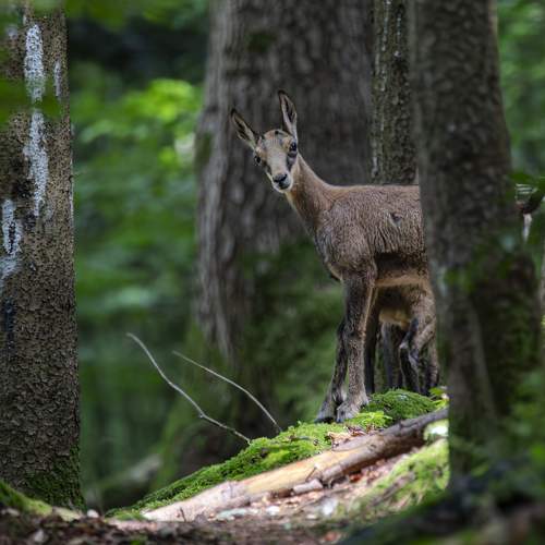 Photo #13647983