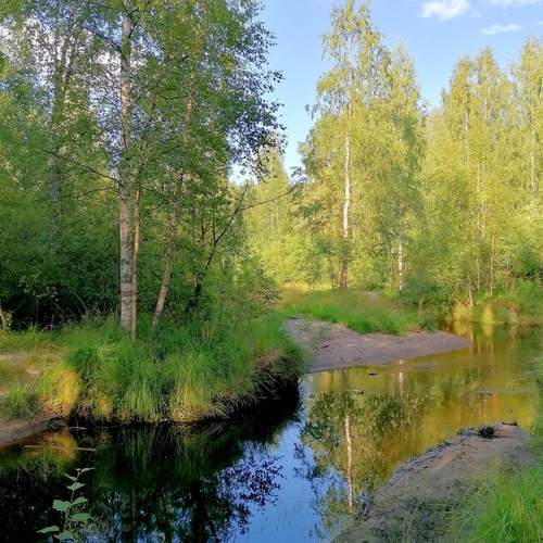 Зелёный уголок природы