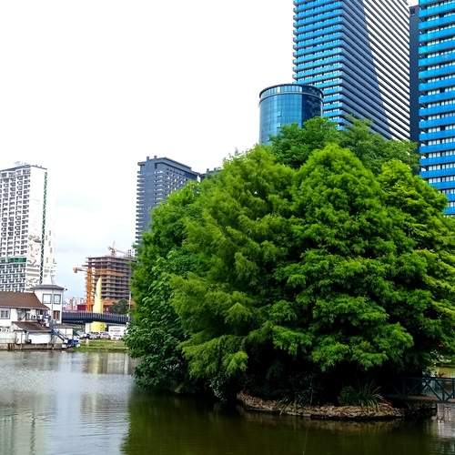 Photo #13648015