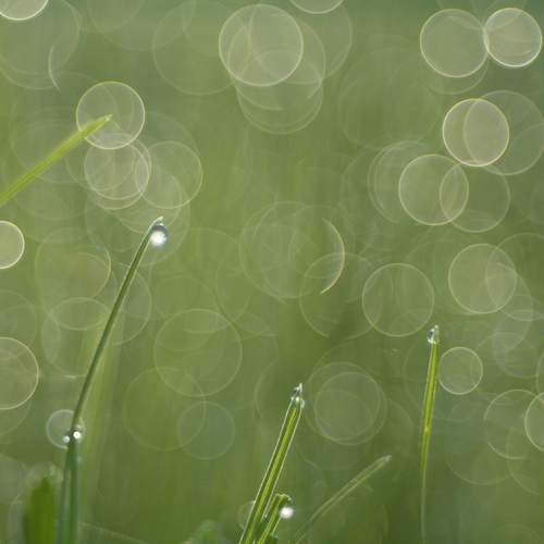 Photo #13648040