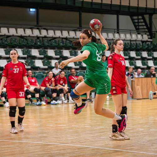 Photo #13648067