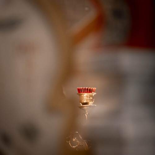 Photo #13648068