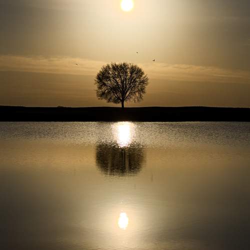 Photo #13648122