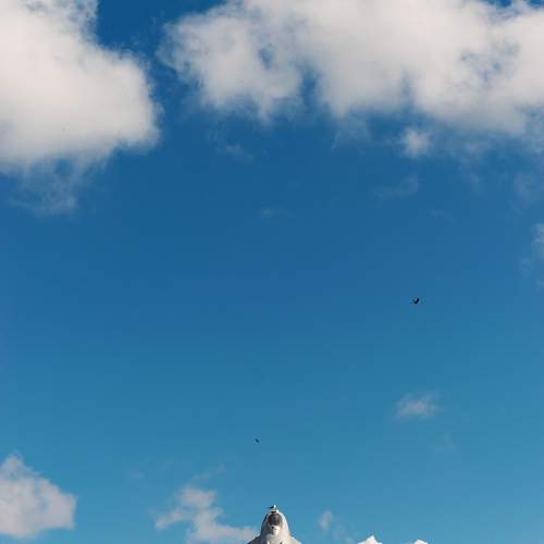 Photo #13648123