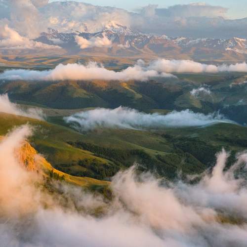 Photo #13648125