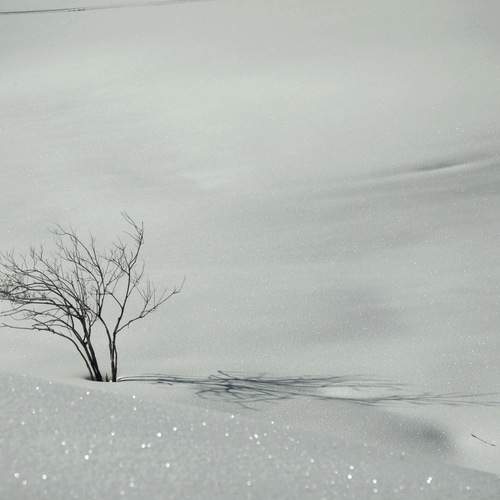 Photo #13648158