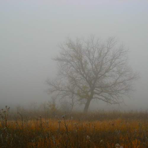 Photo #13648185