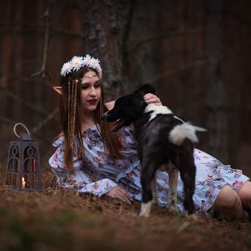 Photo #13648229