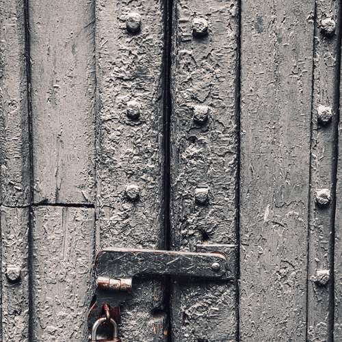 Photo #13648238