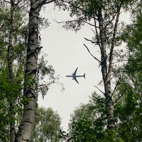 Photo #13648254