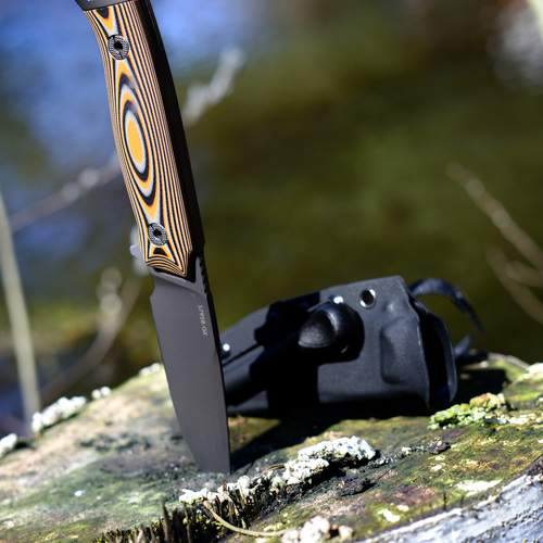Photo #13648258