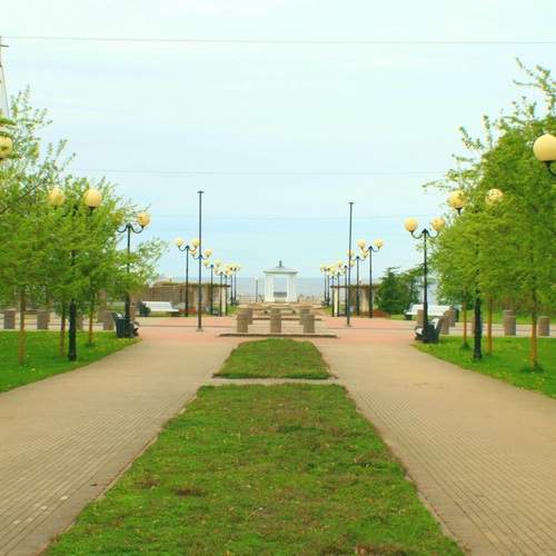 Photo #13648260